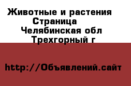  Животные и растения - Страница 12 . Челябинская обл.,Трехгорный г.